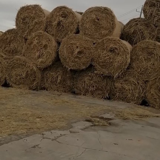 洮南市干稻草