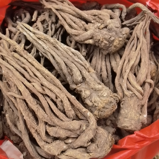 亳州批发甘肃当归个子 无硫当归 干品
