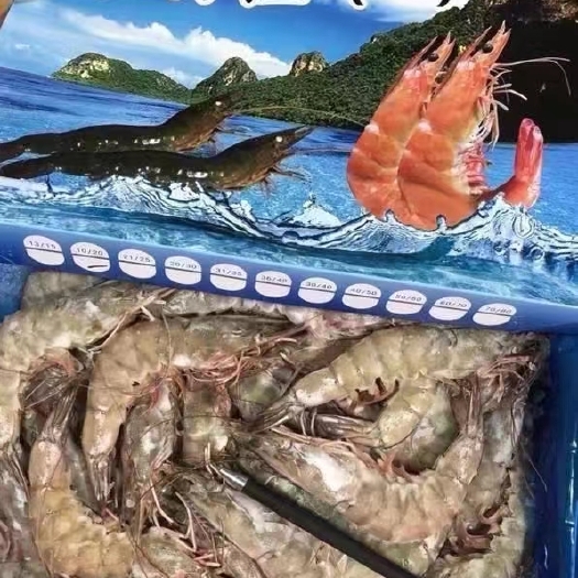 大连海朋佳