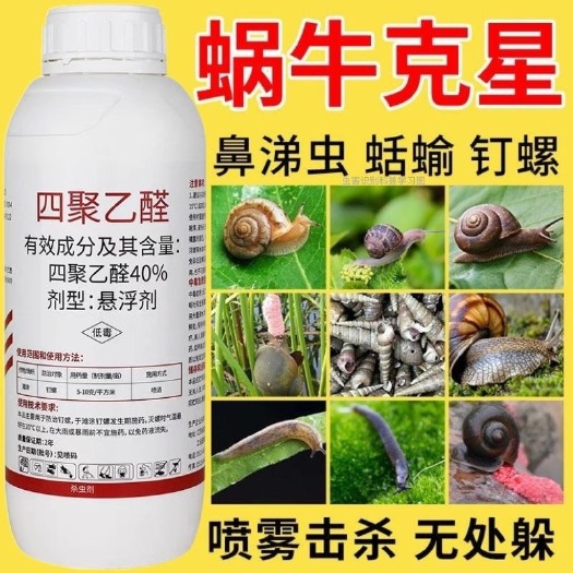 四聚乙醛杀蜗牛鼻涕虫蛞蝓福寿螺适用池塘庭院水稻花卉菜地蜗牛药