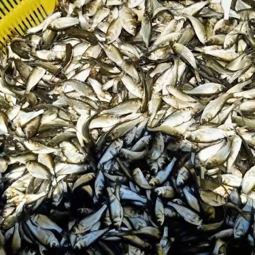 唐河县看看有喜欢的吗