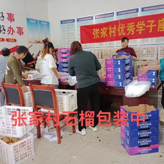 突尼斯软籽石榴