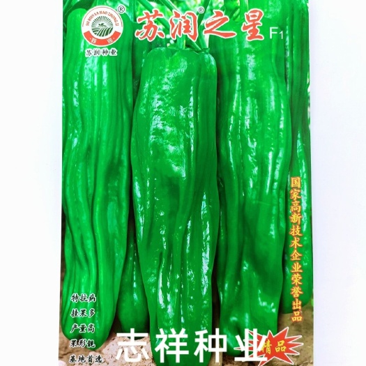 华容县基地专用苏润之星大果薄皮椒种子薄皮泡椒辣椒种籽肉质脆嫩微辣