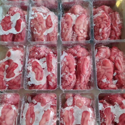 【精品猪脑花，国产脑花】，单冻脑花，适用于中西餐火锅烧烤