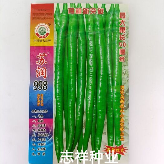 华容县苏润998长线椒条椒种子杂交特长果达50cm 基地春秋蔬菜种