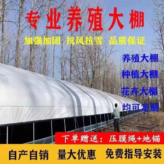 武汉冬暖夏凉养殖大棚  养殖棚骨架  养羊棚 养猪大棚