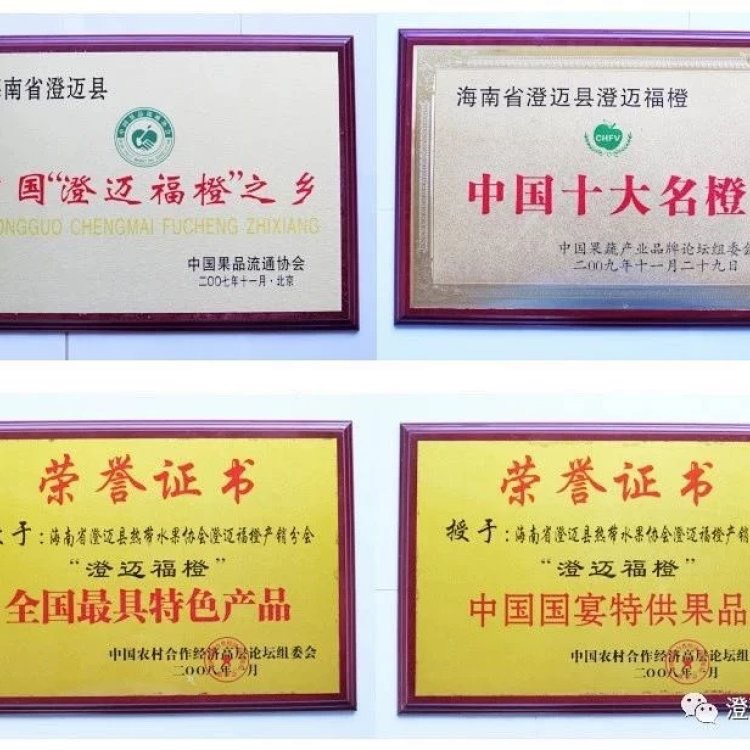 海南省澄迈县福山福橙 中国十大名橙&全国最具特色产品