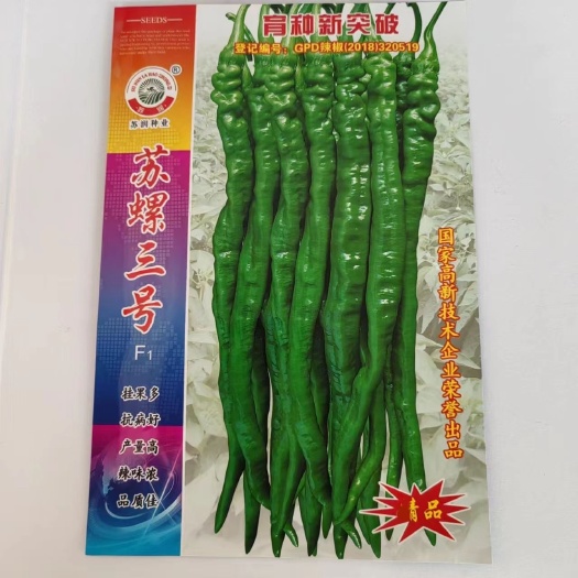 华容县苏润 苏螺三号粗螺丝线椒辣椒种子 挂果多抗病好 薄皮香辣基地