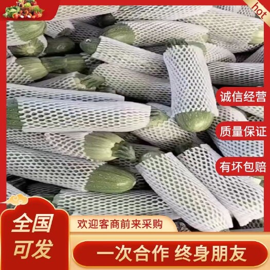 元谋县云南元谋热带精品绿皮西葫芦