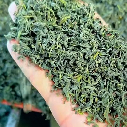 三江县高山香茶
