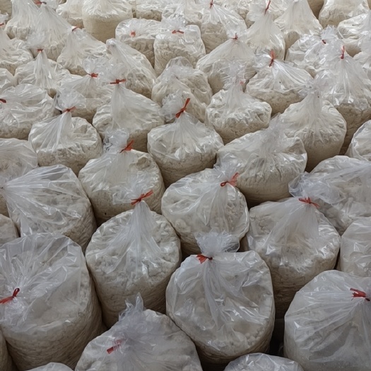 礼泉县长期供应新鲜豆渣，保质保量，质量可靠，信誉第一