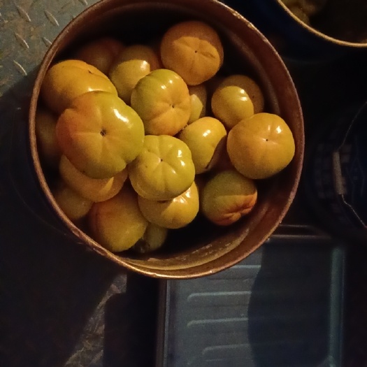新乡阳丰脆柿