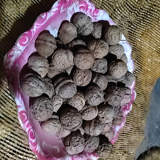 盐源县四川大凉山老树核桃