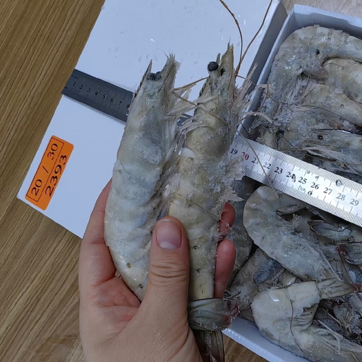 青岛厄瓜多尔冷冻虾