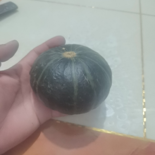 林州市内蒙产地直销，贝贝南瓜，板栗瓜，金瓜！！！！！