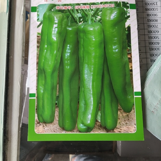 简阳市薄皮椒