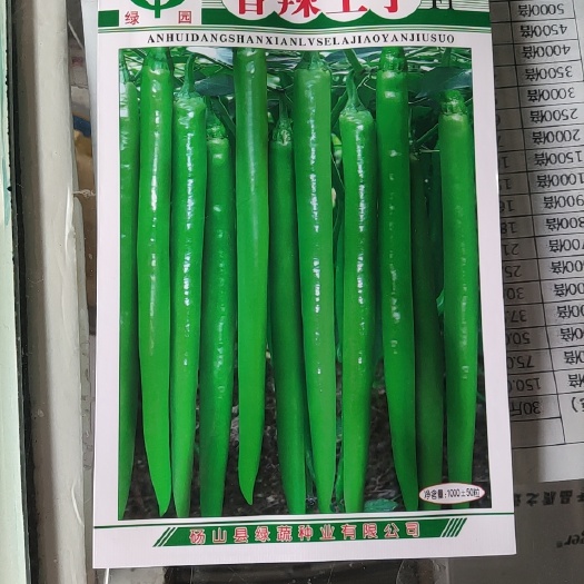 简阳市线椒