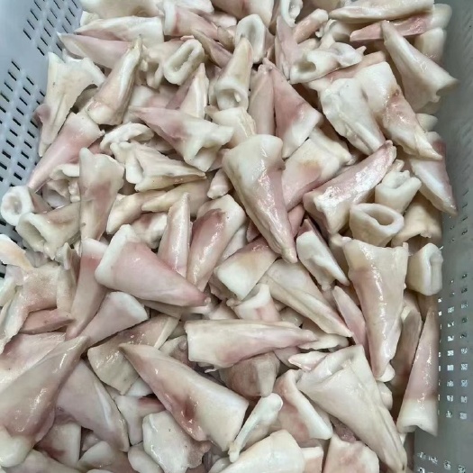 连云港鱿鱼须鱿鱼尾尖鱿鱼头尤鱼火锅海鲜自助捞汁食材尤鱼片鱿鱼串