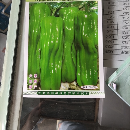 简阳市薄皮椒