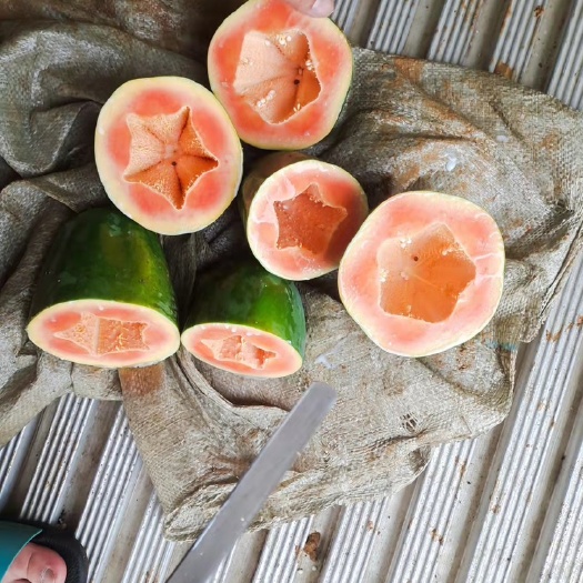 扶绥县益源6号木瓜大青木瓜