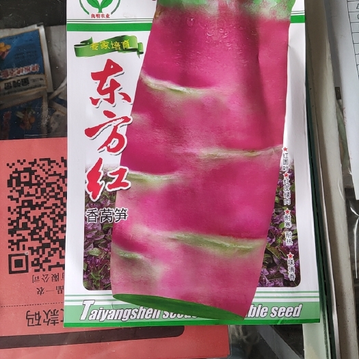 简阳市莴笋种子