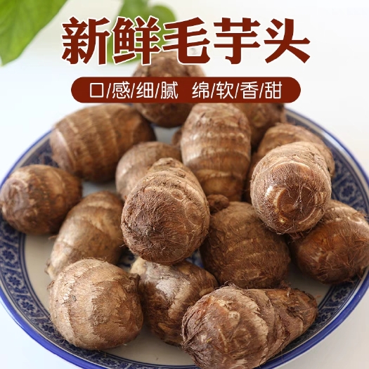 芋头，8520芋头产地，大中小球通货，全国发货