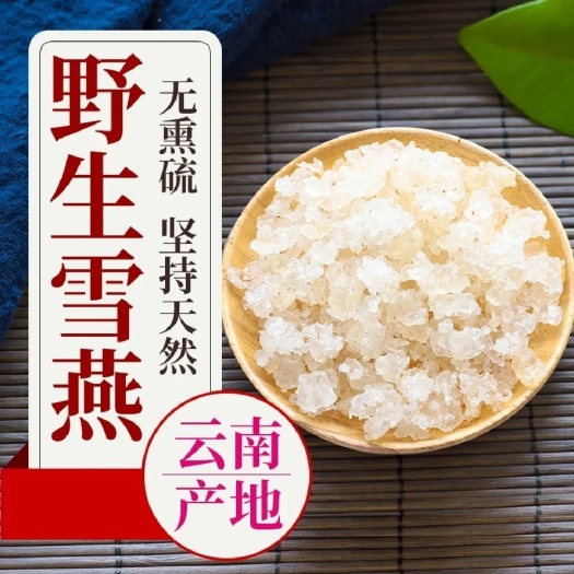 缙云县【产地直发】拉丝雪燕天然非野生
5斤起包邮