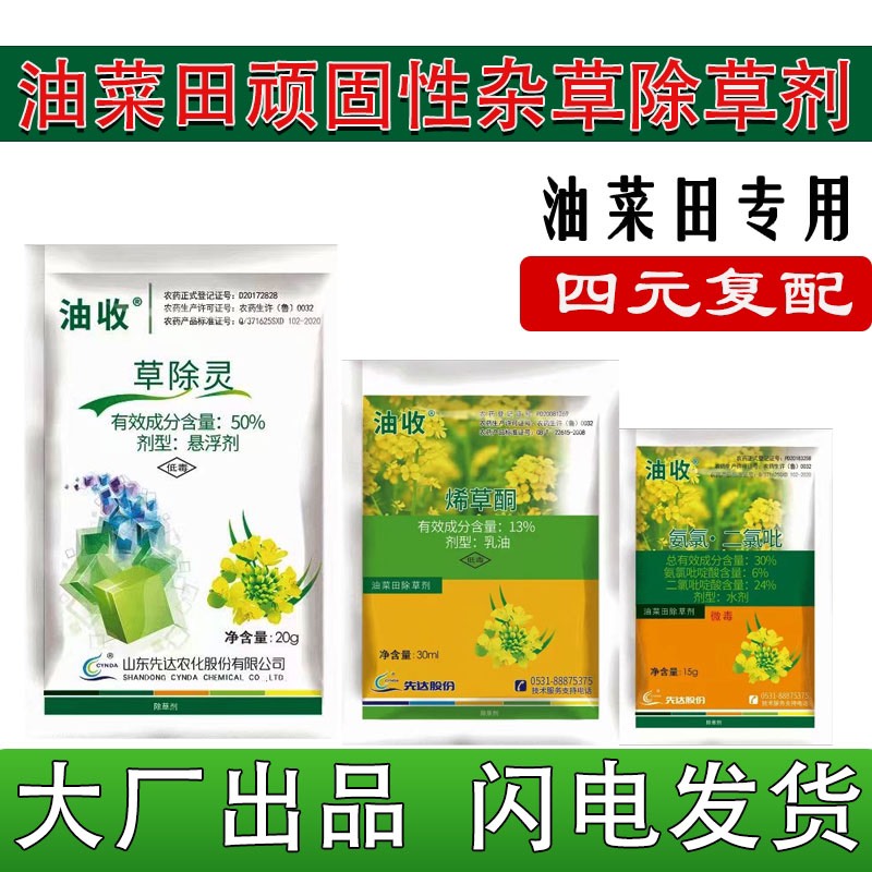 油菜田除草剂傻瓜式一次除草烯草酮山东先达甘蓝型油菜苗后烂根