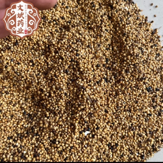 【文斌药业】炒谷芽 生谷芽都有 常年供应 一公斤起批