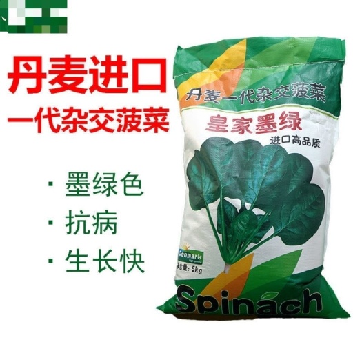 皇家墨绿杂交菠菜种子墨绿抗病散装秋天耐寒四季越冬农村蔬菜种子