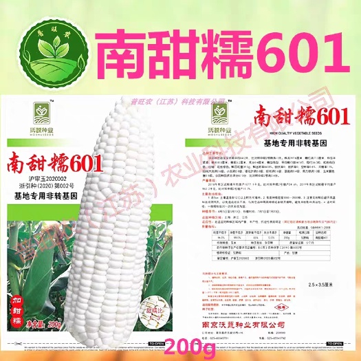 南京南甜糯601玉米种子白甜糯玉米蔬菜种籽精品基地大户专用