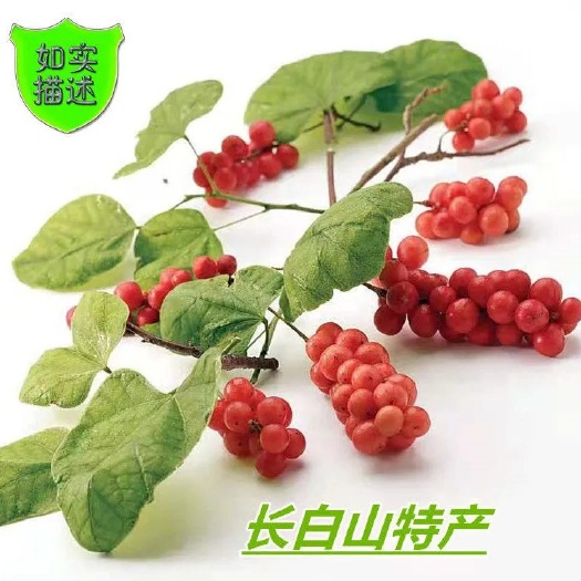 通化县长白山东北五味子当季大果自然晾晒干油籽可食用泡水泡酒