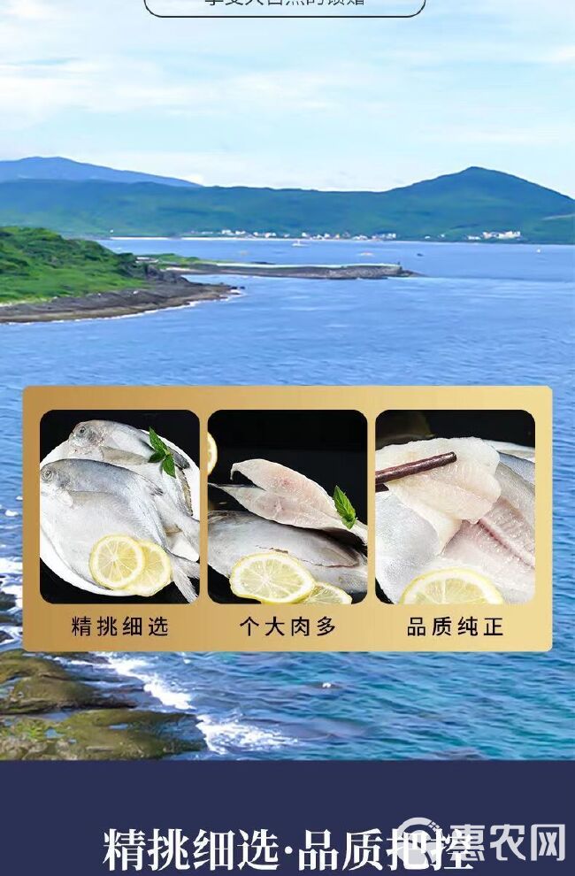 新货银鲳鱼深海新鲜鲜活海鲜冷冻深海白鲳平鱼昌鱼新鲜水产镜鱼海