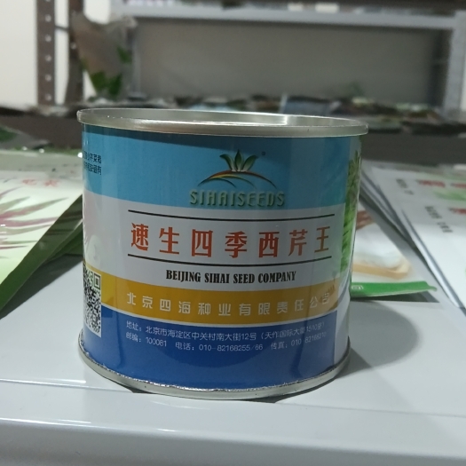武汉速生四季西芹王芹菜种子