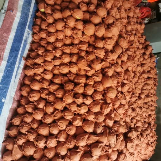 西安酥梨