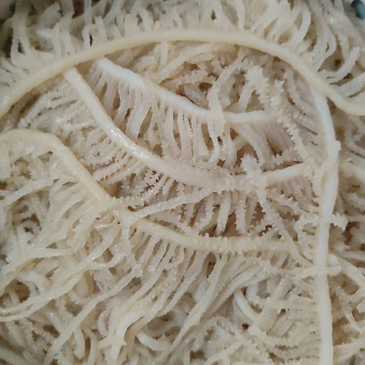 临沂精品黑千层丝白千层丝鲜黑毛肚净重不含水黑牛千层牛百叶商用批发
