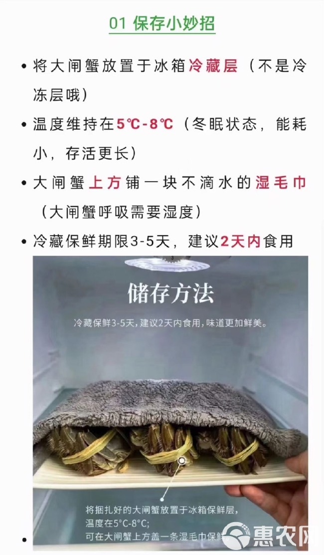 产地直供大闸蟹鲜活特大螃蟹现货海鲜水产礼盒批发江苏直发大闸蟹