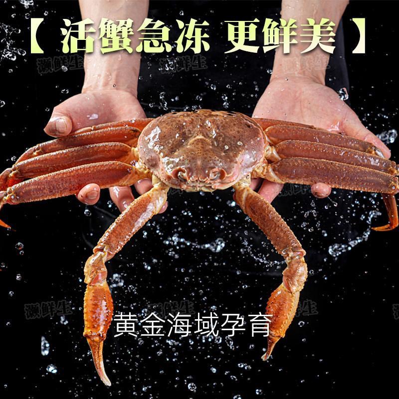 俄罗斯松叶蟹鲜活冷冻板蟹雪蟹特大螃蟹长脚蟹新鲜活冻鳕蟹海鲜板