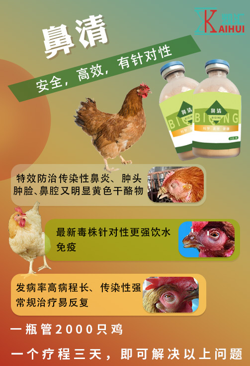 潍坊鼻清 饮水免疫鸡鼻窦炎 适用于鸡