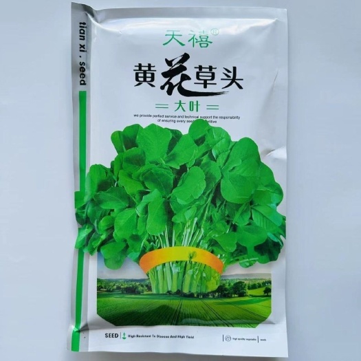沭阳县原装大叶黄花草头种籽金花菜菜籽上海草头种子金花菜苜宿种子