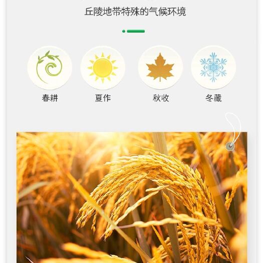 梁河县辽宁省沈阳市生产的好吃的粳米，东北白米