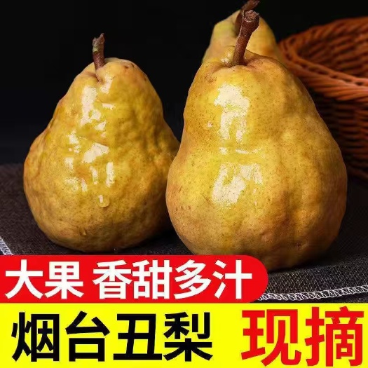 中华丑梨山东烟台丑梨太婆梨软糯香甜放软了再吃一件代发团购电商
