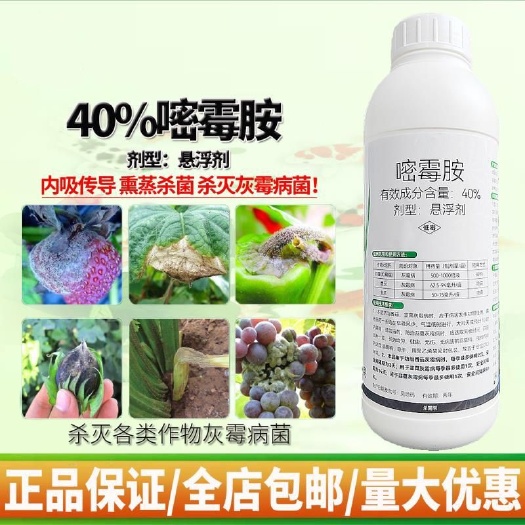 潍坊40%嘧霉胺灰霉病专用杀菌剂番茄韭菜葡萄黄瓜花卉草莓农药