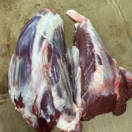 唐山鲜冻牛腱子，精修牛腱，前腱，后腱，龟腱，排腱