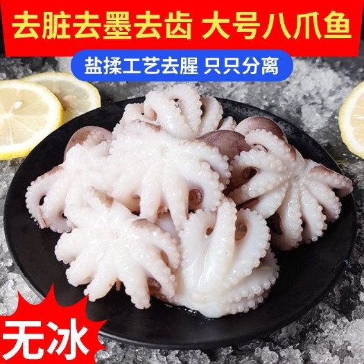 三去免处理八爪鱼海鲜章鱼海鲜鱿鱼火锅食材去脏一口章短腿八爪鱼