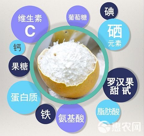 新鲜成熟贵州罗汉果现摘生果罗汉果批发