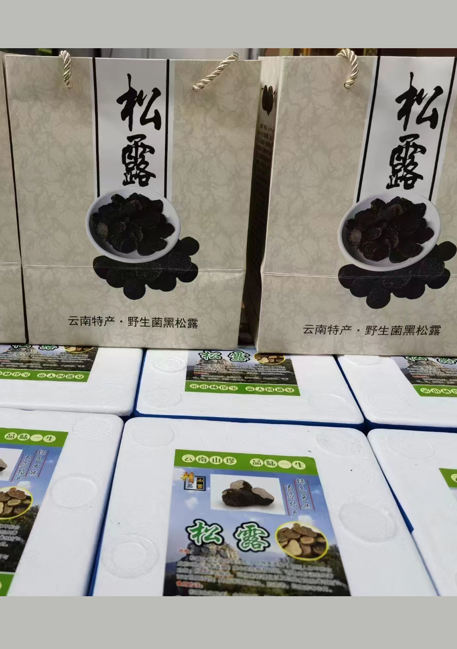 高黎贡山黑松露