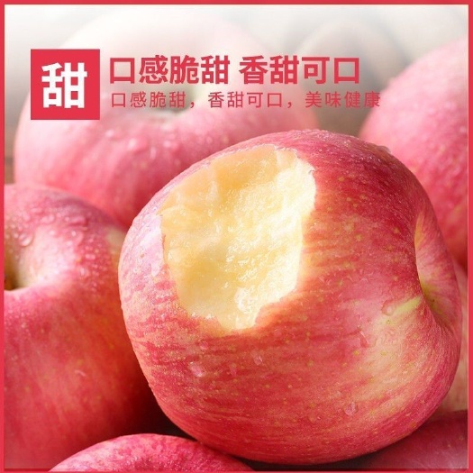 项城市新鲜现摘苹果红富士水果脆甜甜应季当季孕妇水果整箱装批发零售