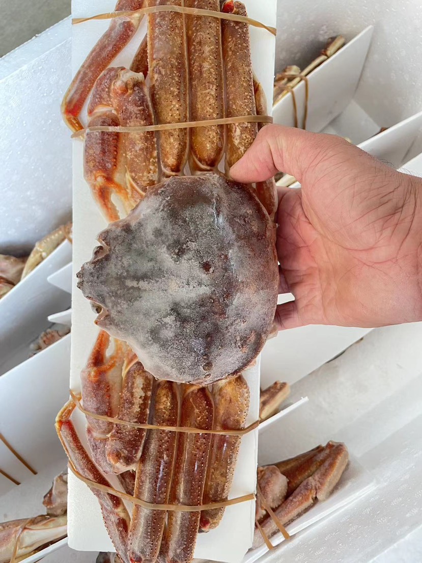 俄罗斯松叶蟹鲜活冷冻板蟹雪蟹特大螃蟹长脚蟹新鲜活冻鳕蟹海鲜板