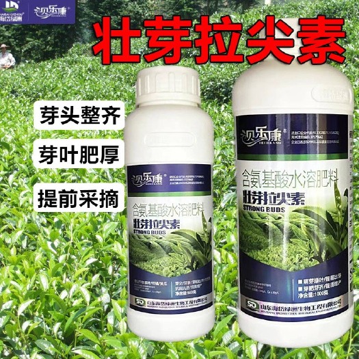 莘县茶叶催芽剂拉尖增厚素含氨基酸水溶肥料茶叶专用叶面茶叶肥
